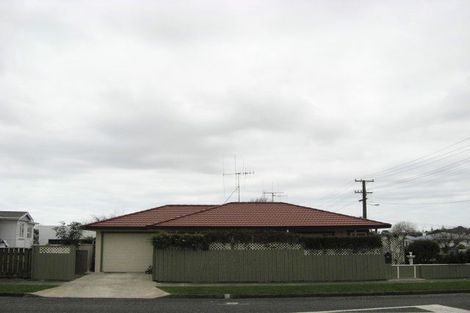 Photo of property in 155 Winchester Street, Levin, 5510