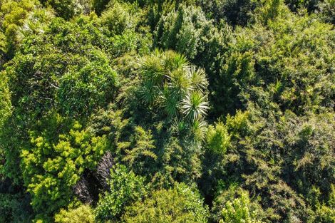 Photo of property in 109 Mcivor Road, Rotoma, Whakatane, 3192