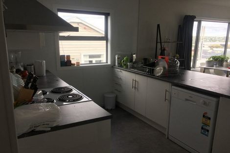 Photo of property in 135 Saint David Street, North Dunedin, Dunedin, 9016