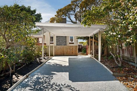 Photo of property in 182 Maitland Street, Dunedin Central, Dunedin, 9016