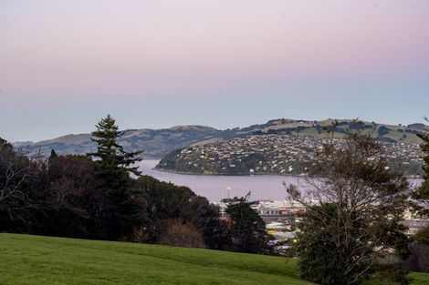 Photo of property in 101 Eglinton Road, Mornington, Dunedin, 9011