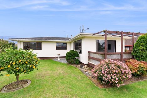 Photo of property in 10 Martin Harvey Street, Levin, 5510