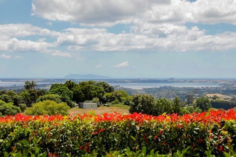 Photo of property in 567b Esdaile Road, Whakamarama, Tauranga, 3180