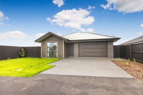 Photo of property in 29 Ellesmere Street, Marshland, Christchurch, 8083