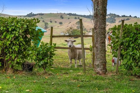 Photo of property in 1173 Te Miro Road, Te Miro, Cambridge, 3496