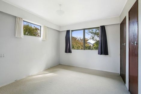 Photo of property in 141 Park Road, Katikati, 3129