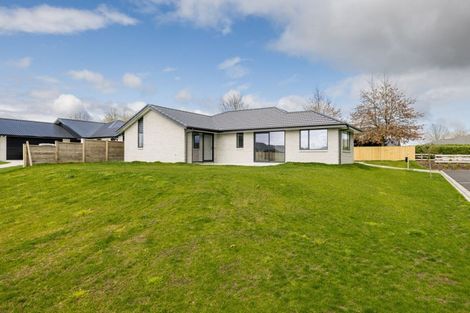 Photo of property in 13 Hinerangi Crescent, Matamata, 3400