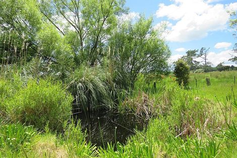 Photo of property in 605 Whakapirau Road, Whakapirau, Maungaturoto, 0583