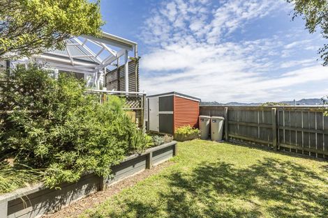 Photo of property in 141 Daniell Street, Newtown, Wellington, 6021