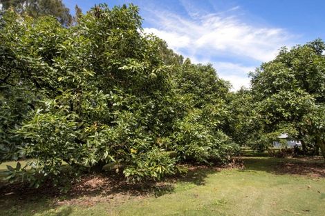 Photo of property in 43 Thompsons Track, Aongatete, Katikati, 3178