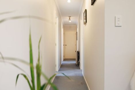Photo of property in 1 Eton Place, Terrace End, Palmerston North, 4410