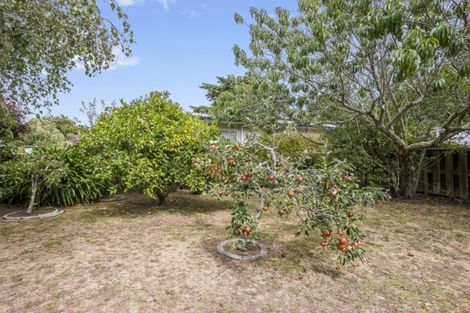 Photo of property in 31a Tui Road, Raumati Beach, Paraparaumu, 5032