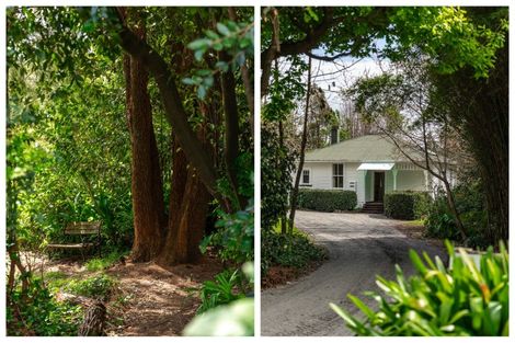 Photo of property in 324 Youngson Road, Whakamarama, Tauranga, 3179