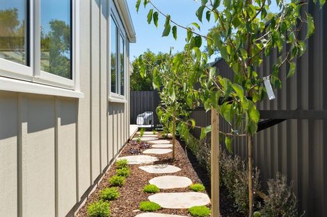 Photo of property in 45b Weld Street, Martinborough, 5711