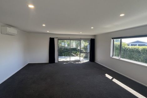 Photo of property in 10a Knowles Street, Terrace End, Palmerston North, 4410