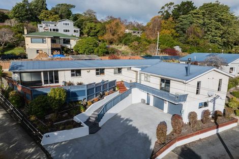 Photo of property in 1a Everton Road, Andersons Bay, Dunedin, 9013