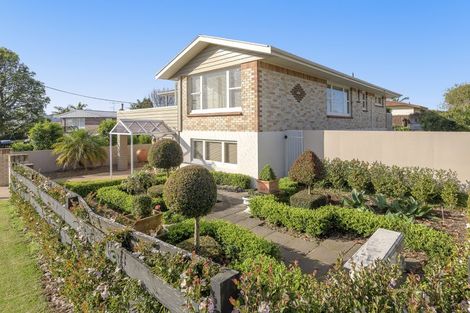 Photo of property in 84 Grange Road, Otumoetai, Tauranga, 3110