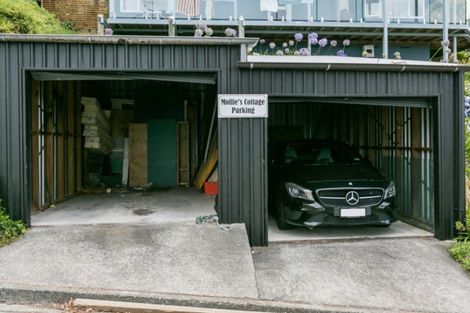 Photo of property in 21 Sealy Road, Bluff Hill, Napier, 4110