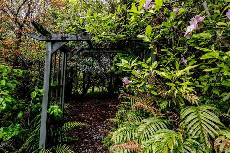 Photo of property in 313 Kaniere Road, Kaniere, Hokitika, 7811