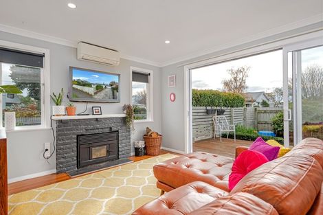 Photo of property in 51 Lincoln Street, Ashhurst, 4810