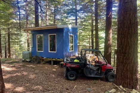 Photo of property in 262 Wainui Road South, Whakamarama, Katikati, 3181