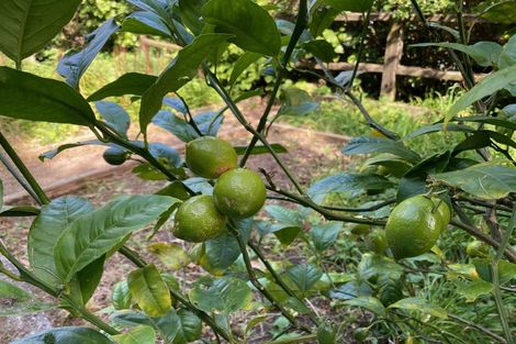 Photo of property in 140 Cecil Road, Wadestown, Wellington, 6012