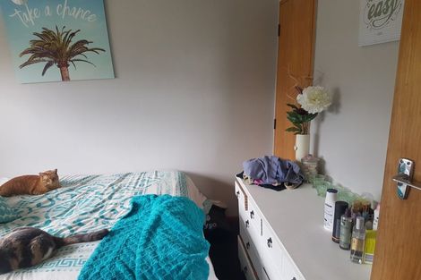 Photo of property in 55 Rochester Street, Tamatea, Napier, 4112