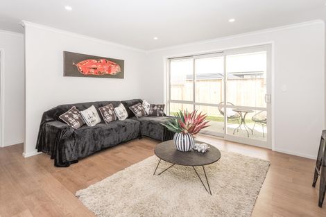 Photo of property in 14 Lisle Farm Drive, Pukekohe, 2120