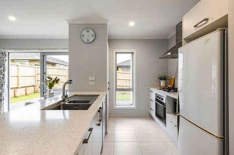 Photo of property in 12 Taotahi Avenue, Dinsdale, Hamilton, 3204