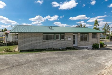 Photo of property in 19 Caernarvon Street, Dinsdale, Hamilton, 3204