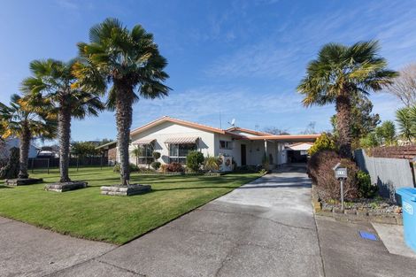 Photo of property in 114 Napier Road, Havelock North, 4130
