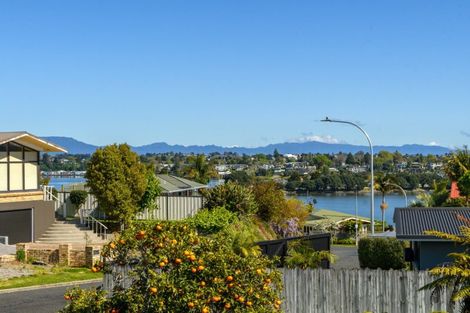 Photo of property in 19a Vine Avenue, Maungatapu, Tauranga, 3112