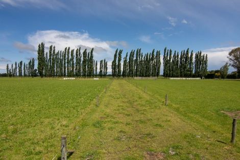 Photo of property in 279 Longbeach Road, Willowby, Ashburton, 7773