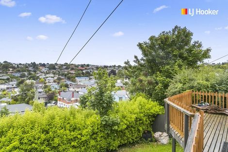 Photo of property in 11 Aitken Place, Mornington, Dunedin, 9011