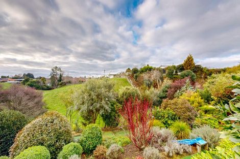 Photo of property in 38 Cambridge Street, Putaruru, 3411