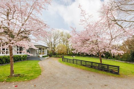 Photo of property in 1308 Rongotea Road, Kairanga, Palmerston North, 4475