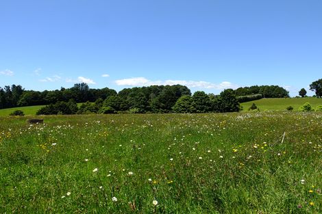 Photo of property in 527 Waiare Road, Okaihau, 0475