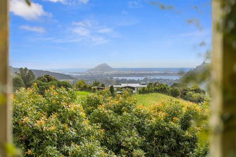 Photo of property in 80b Kaiate Falls Road, Waitao, Tauranga, 3175