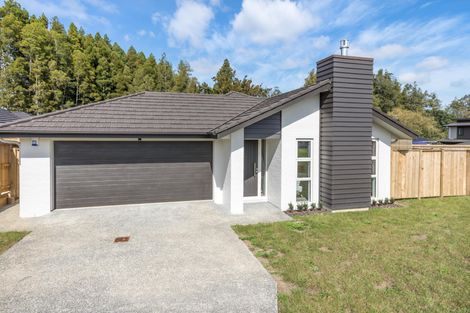 Photo of property in 14 Lisle Farm Drive, Pukekohe, 2120