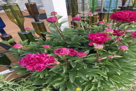 Photo of property in 85 Willowbridge Settlement Road, Waimate, 7980