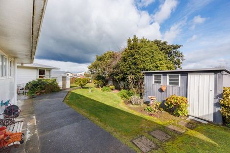 Photo of property in 3 Dalzien Place, Feilding, 4702