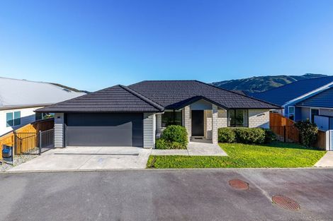 Photo of property in 145 John Burke Drive, Aotea, Porirua, 5024