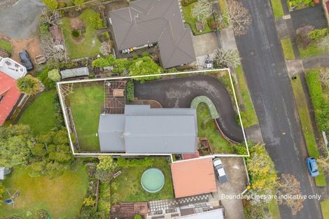 Photo of property in 9 Lindale Street, Morrinsville, 3300