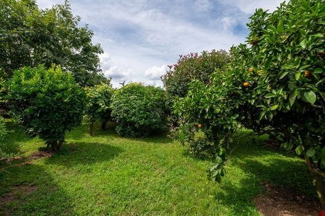 Photo of property in 162 Rangatira Drive, Mangakino, 3421