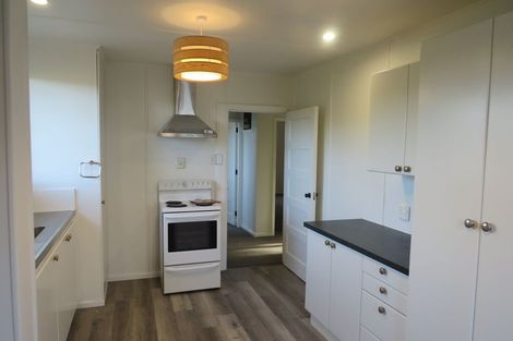 Photo of property in 50 Panmure Avenue, Calton Hill, Dunedin, 9012