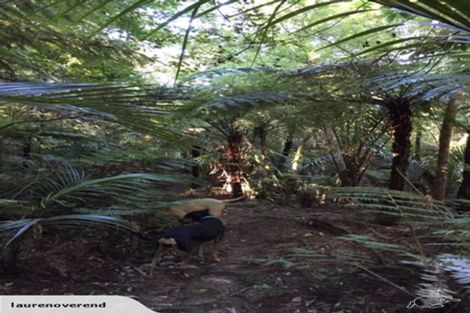 Photo of property in 29 Kauri Point Road, Laingholm, Auckland, 0604