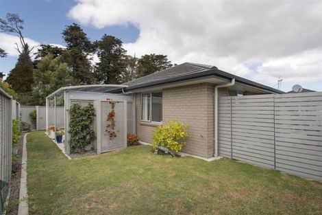 Photo of property in 48 Blanche Road, Papamoa Beach, Papamoa, 3118