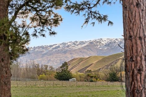 Photo of property in 541 Ardgour Road, Tarras, Cromwell, 9383