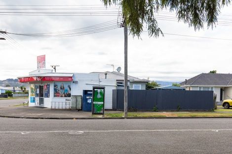 Photo of property in 2 Middlesex Street, Levin, 5510