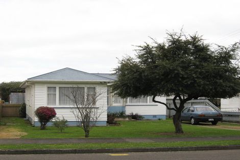 Photo of property in 9 Gardener Street, Levin, 5510